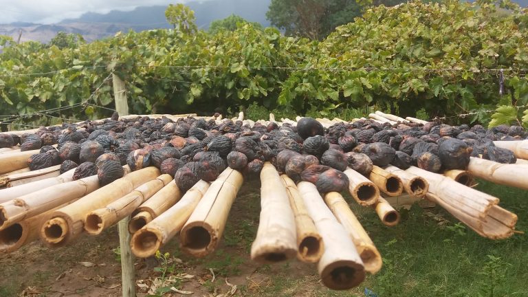 20220313_221236 (1) (1)