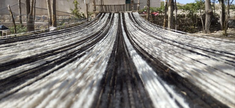 IMG_20230829_174853 (1)