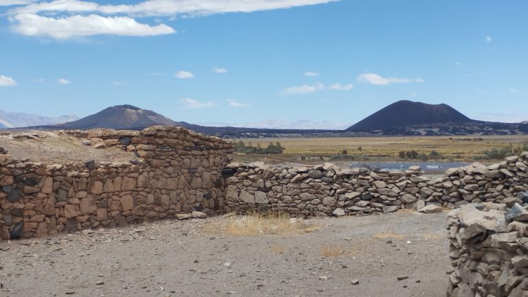 IMG_20231018_123338 (1)