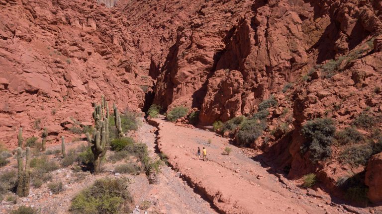 JUJUY_QUEBRADA_UQUIA_QUEBRADA DE LAS SEÑORITAS_DJI MAVIC PRO (11)